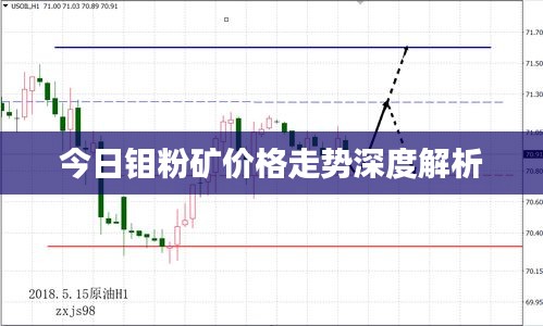 今日钼粉矿价格走势深度解析