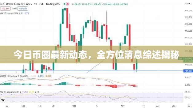 今日币圈最新动态，全方位消息综述揭秘