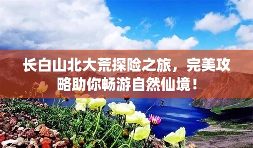 长白山北大荒探险之旅，完美攻略助你畅游自然仙境！