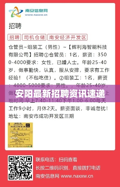 安阳最新招聘资讯速递