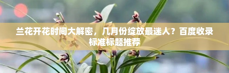 兰花开花时间大解密，几月份绽放最迷人？百度收录标准标题推荐
