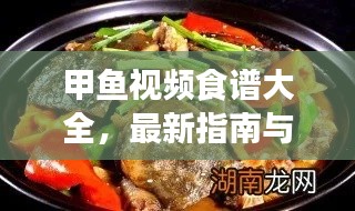 甲鱼视频食谱大全，最新指南与独家资源一网打尽