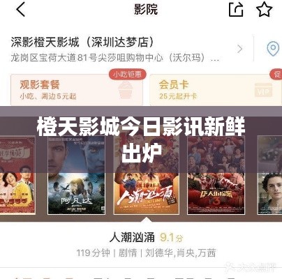 真独简贵 第2页