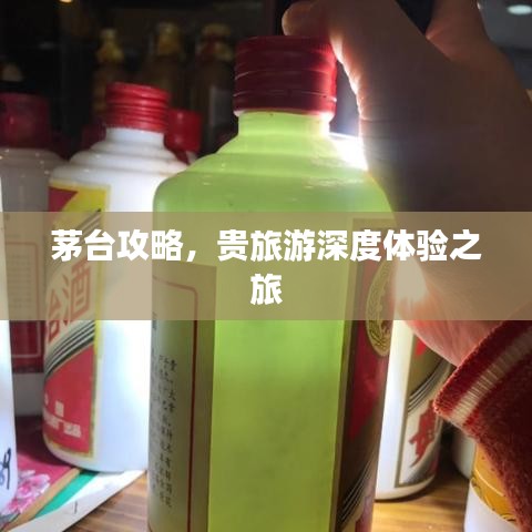 茅台攻略，贵旅游深度体验之旅