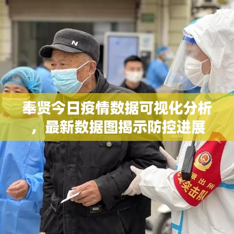 奉贤今日疫情数据可视化分析，最新数据图揭示防控进展