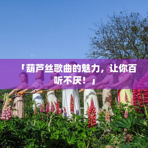 「葫芦丝歌曲的魅力，让你百听不厌！」