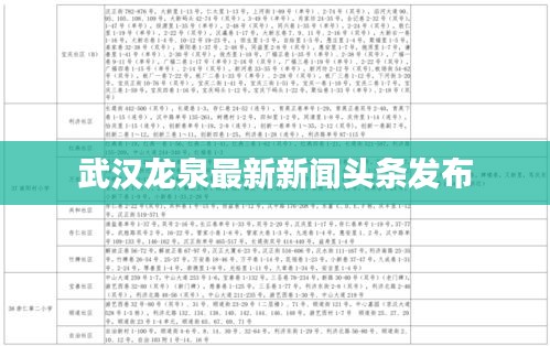 武汉龙泉最新新闻头条发布