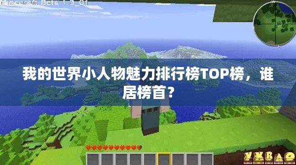 我的世界小人物魅力排行榜TOP榜，谁居榜首？