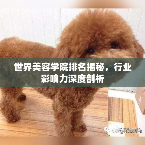 世界美容学院排名揭秘，行业影响力深度剖析