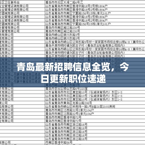青岛最新招聘信息全览，今日更新职位速递