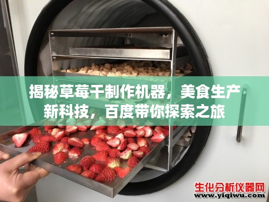 揭秘草莓干制作机器，美食生产新科技，百度带你探索之旅