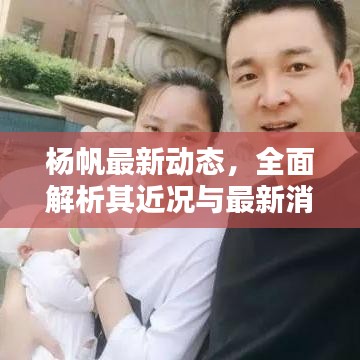 杨帆最新动态，全面解析其近况与最新消息