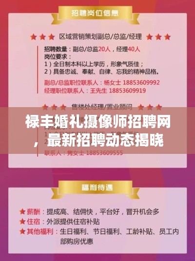 禄丰婚礼摄像师招聘网，最新招聘动态揭晓