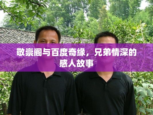 敬崇阁与百度奇缘，兄弟情深的感人故事