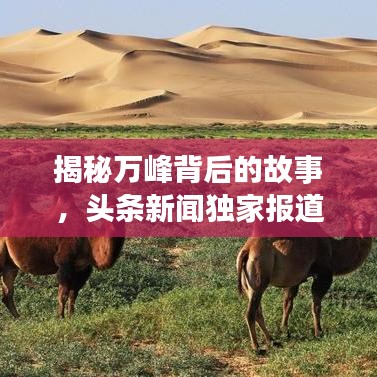 揭秘万峰背后的故事，头条新闻独家报道！