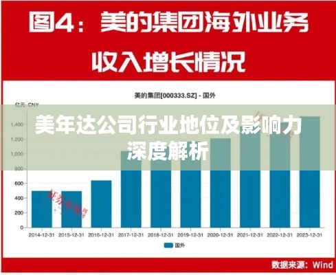 美年达公司行业地位及影响力深度解析