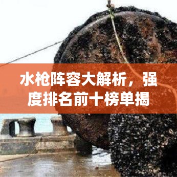 水枪阵容大解析，强度排名前十榜单揭晓！