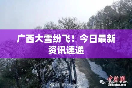 广西大雪纷飞！今日最新资讯速递