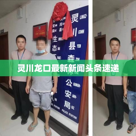 灵川龙口最新新闻头条速递