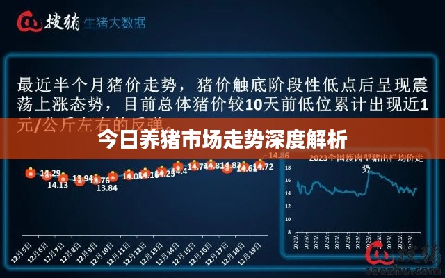 今日养猪市场走势深度解析