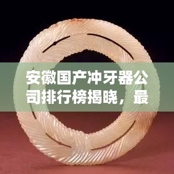 安徽国产冲牙器公司排行榜揭晓，最新排名及亮点一网打尽！