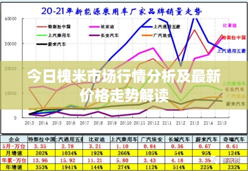 今日槐米市场行情分析及最新价格走势解读