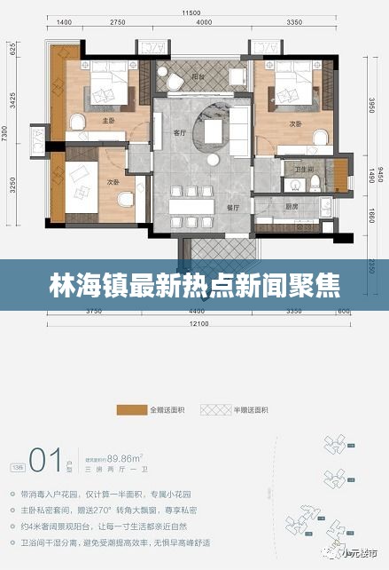林海镇最新热点新闻聚焦