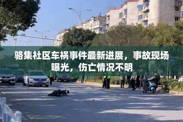 骆集社区车祸事件最新进展，事故现场曝光，伤亡情况不明