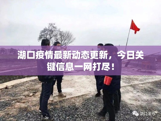 湖口疫情最新动态更新，今日关键信息一网打尽！