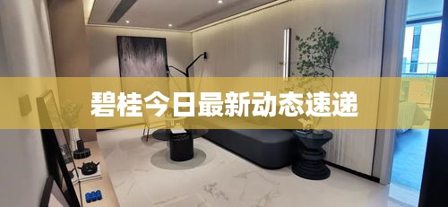碧桂今日最新动态速递