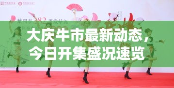 大庆牛市最新动态，今日开集盛况速览