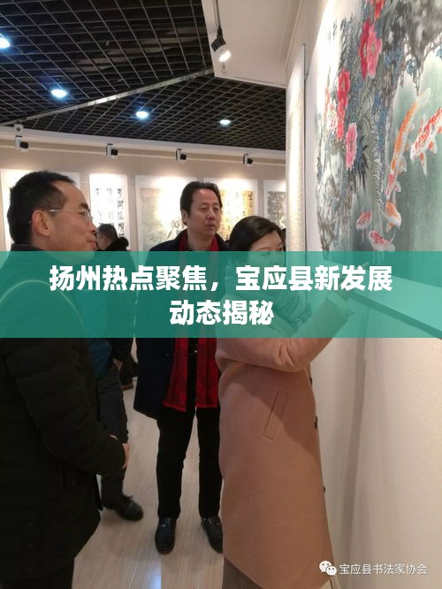 扬州热点聚焦，宝应县新发展动态揭秘