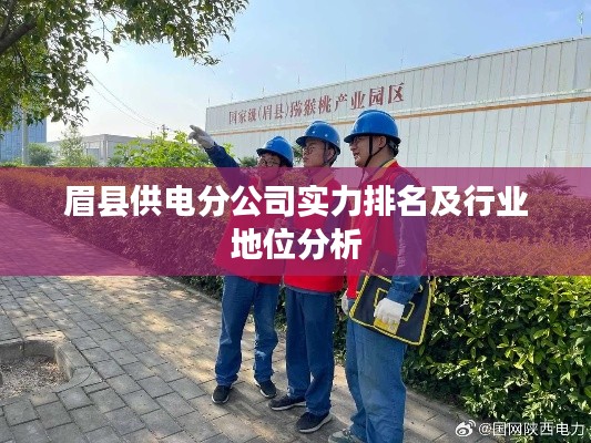 眉县供电分公司实力排名及行业地位分析