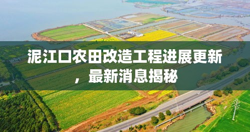 泥江口农田改造工程进展更新，最新消息揭秘