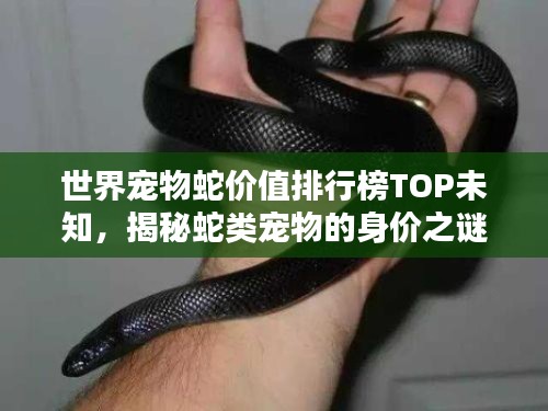 雍容典雅 第2页