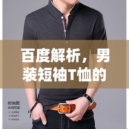 百度解析，男装短袖T恤的时尚魅力探索