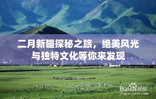 二月新疆探秘之旅，绝美风光与独特文化等你来发现