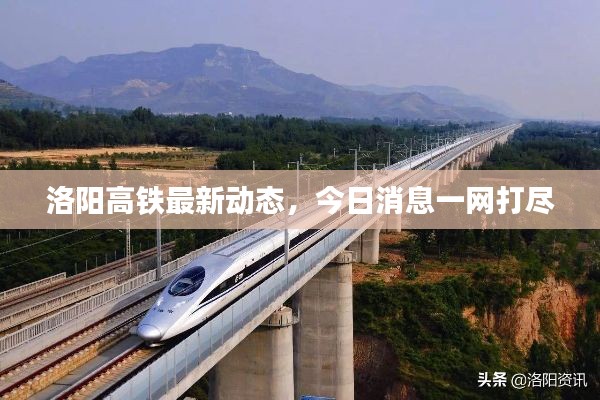 洛阳高铁最新动态，今日消息一网打尽