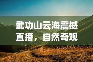 武功山云海震撼直播，自然奇观的绝美展现