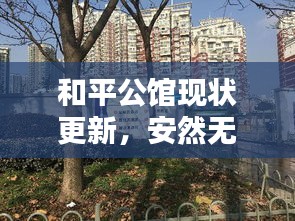 和平公馆现状更新，安然无恙，未受洪涝影响