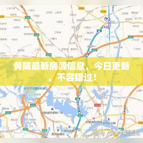 黄陂最新房源信息，今日更新，不容错过！