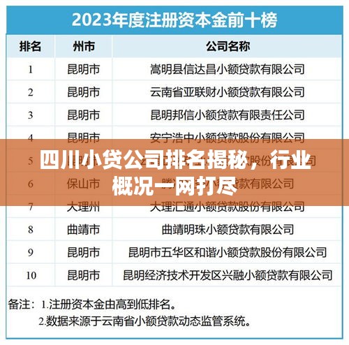 四川小贷公司排名揭秘，行业概况一网打尽