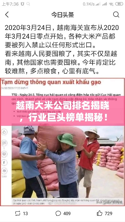 越南大米公司排名揭晓，行业巨头榜单揭秘！