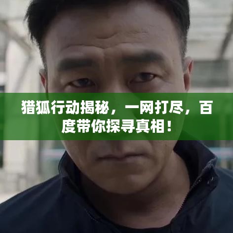 猎狐行动揭秘，一网打尽，百度带你探寻真相！