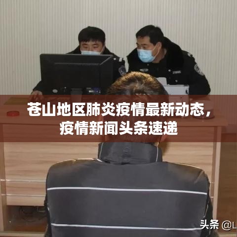 苍山地区肺炎疫情最新动态，疫情新闻头条速递