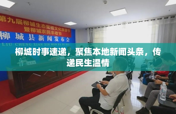 柳城时事速递，聚焦本地新闻头条，传递民生温情