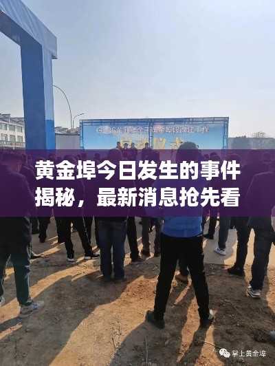 黄金埠今日发生的事件揭秘，最新消息抢先看！