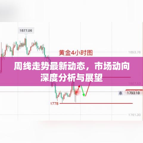 周线走势最新动态，市场动向深度分析与展望