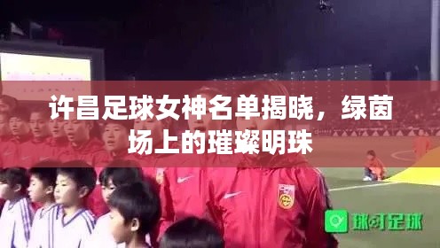 许昌足球女神名单揭晓，绿茵场上的璀璨明珠