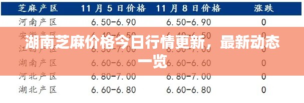 湖南芝麻价格今日行情更新，最新动态一览